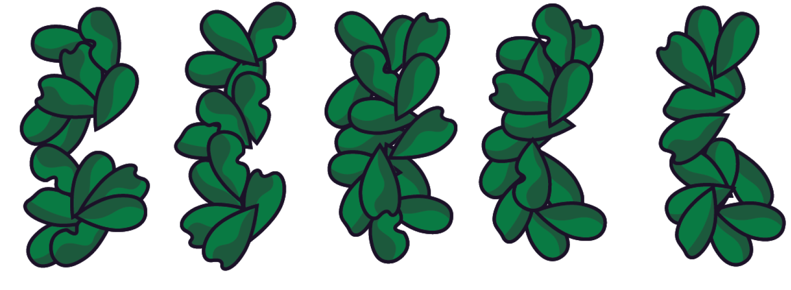 Vines